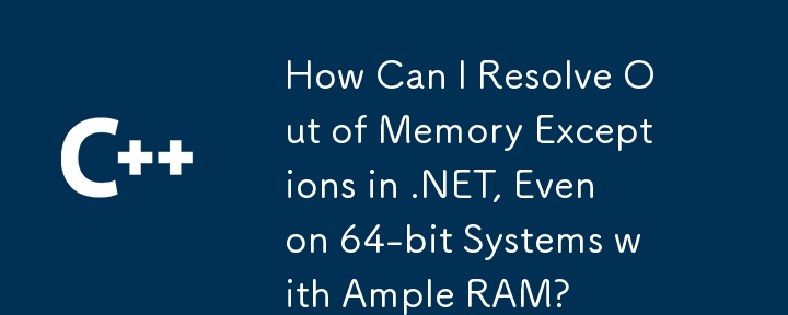 RAM이 넉넉한 64비트 시스템에서도 .NET의 메모리 부족 예외를 어떻게 해결할 수 있습니까?
