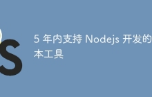 5 年内支持 Nodejs 开发的基本工具