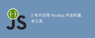 5 年内支持 Nodejs 开发的基本工具