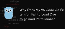 為什麼我的 VS Code Go 擴充功能由於 go.mod 權限而無法載入？