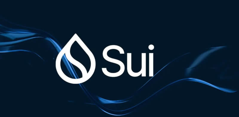 Sui的独特之处在哪?Sui的未来发展方向如何?