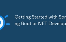 Getting Started with Spring Boot or NET Developers