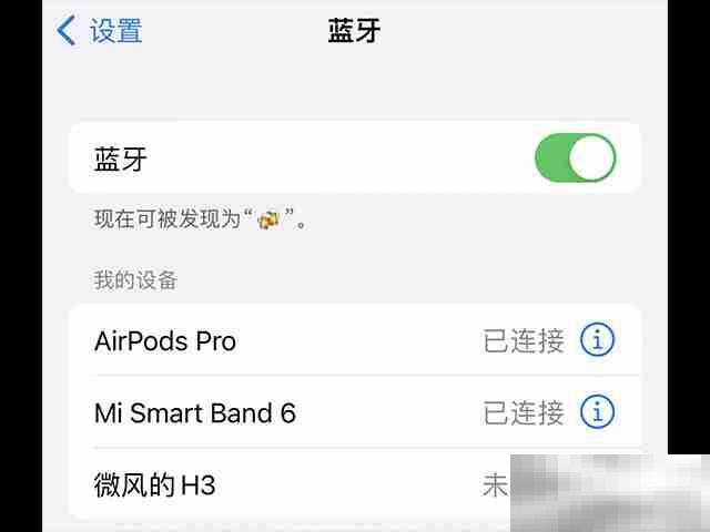 苹果12蓝牙名字怎么改