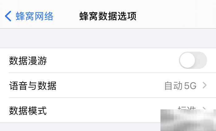 iphone12找不到5g开关