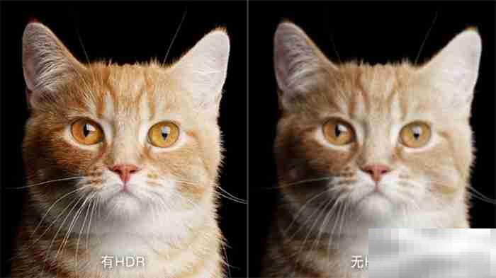 当贝x3是否支持HDR
