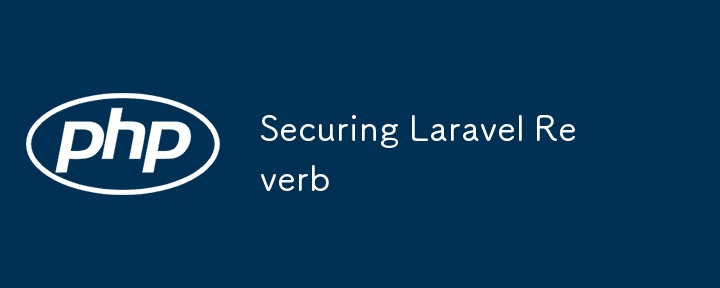 保护 Laravel Reverb 的安全