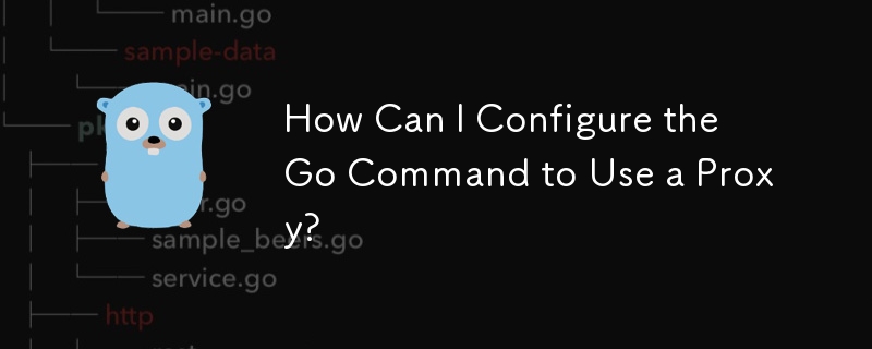 Bagaimanakah Saya Boleh Mengkonfigurasi Perintah Go untuk Menggunakan Proksi?