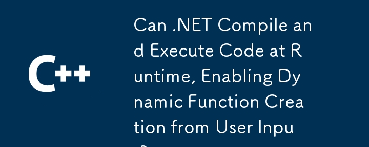 .NET 能否在執行時間編譯和執行程式碼，從而支援根據使用者輸入建立動態函數？