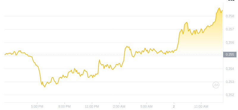 2025年01月02日波场币价格