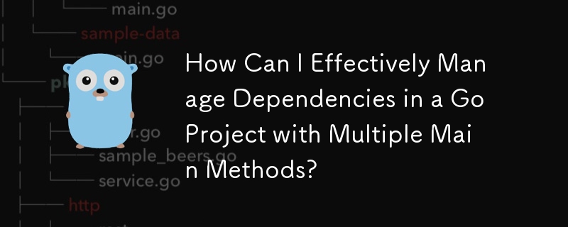 Comment puis-je gérer efficacement les dépendances dans un projet Go avec plusieurs méthodes principales ?