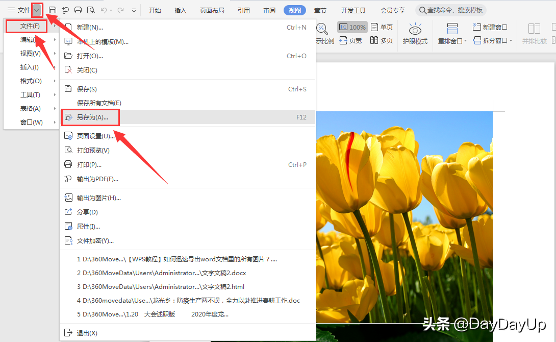如何迅速导出word文档里的所有图片文件
