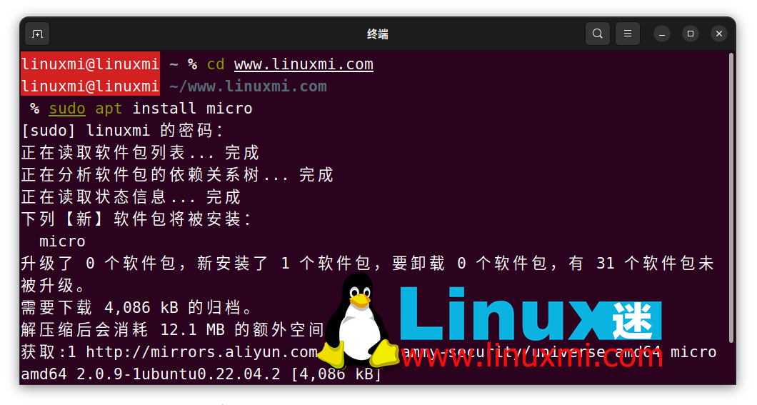 3 款最適合初學者的強大的 Linux 終端文本編輯器 - 小浪云數(shù)據(jù)