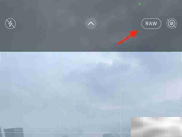 苹果相机raw是什么