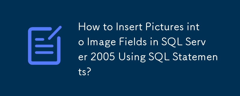 如何在SQL Server 2005中使用SQL语句将图片插入图像字段?