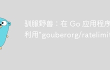 驯服野兽：在 Go 应用程序中利用“gouberorg/ratelimit”
