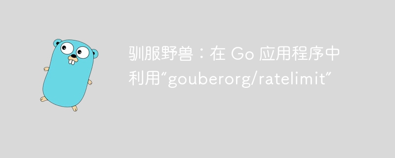 驯服野兽：在 go 应用程序中利用“gouberorg/ratelimit”