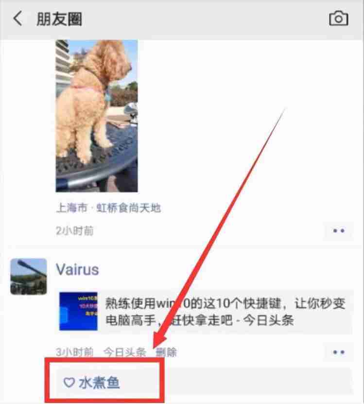 微信删除的好友怎么找回 找回微信好友最有效的4个小妙招