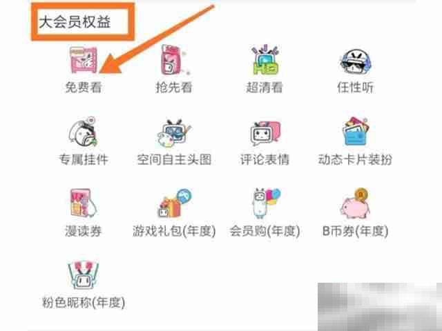哔哩哔哩大会员有什么权益