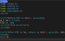 深入理解Linux中进程控制(精讲)