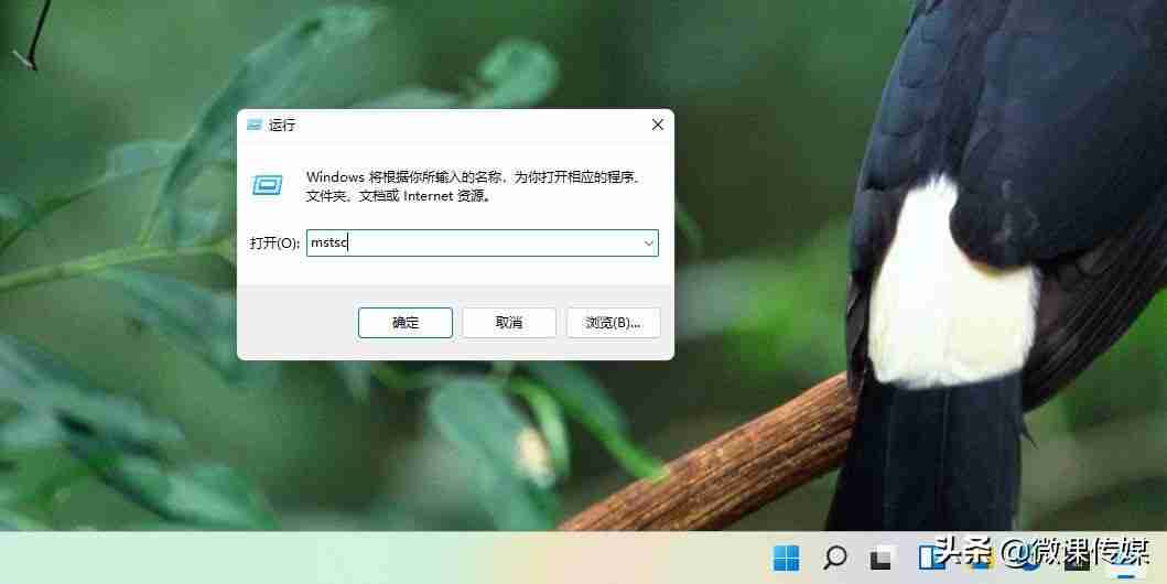 远程桌面命令代码怎么用 windows11如何远程桌面连接