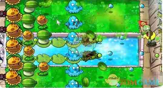 《植物大战僵尸杂交版》泳池第2关通关攻略