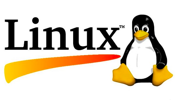 如何在 Linux 上管理用戶組？