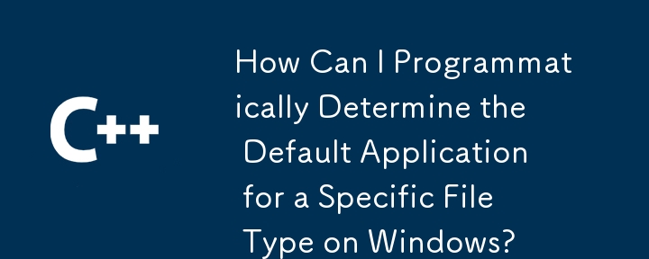 如何以程式設計方式確定 Windows 上特定文件類型的預設應用程式？