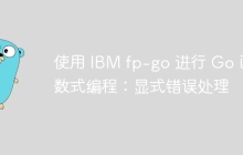 使用 IBM fp-go 进行 Go 函数式编程：显式错误处理