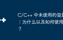 C/C++ 中未使用的变量：为什么以及如何使用？