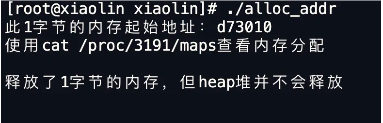 一文读懂Linux内存分配策略