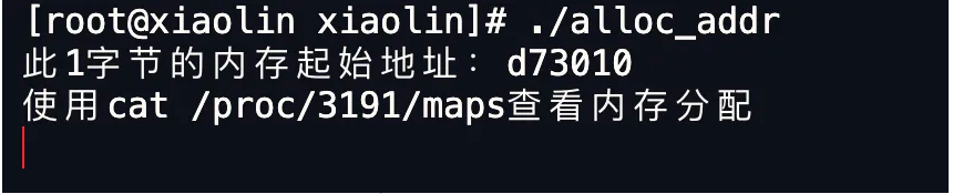 一文读懂Linux内存分配策略