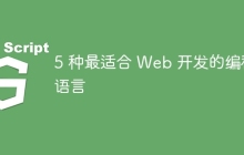 5 种最适合 Web 开发的编程语言