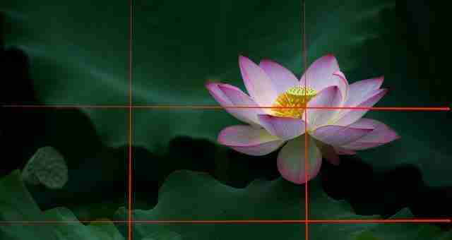 九宫格构图法(以空间均衡和色彩协调为核心)