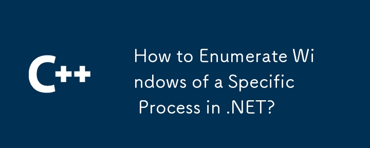 如何列舉.NET中特定行程的Windows？
