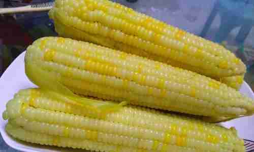 高压锅玉米煮熟时间揭秘(高压锅煮玉米的时间及注意事项)