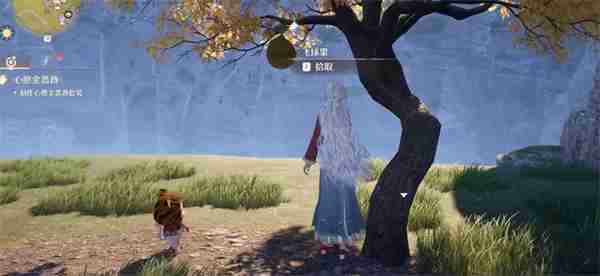 无限暖暖飞球果具体位置分享