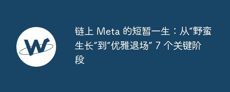 鏈上 meta 的短暫一生：從“野蠻生長”到“優雅退場” 7 個關鍵階段
