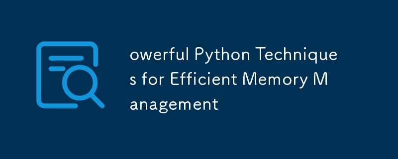 用於高效能記憶體管理的強大 Python 技術