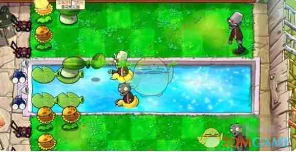 《植物大战僵尸杂交版》泳池第1关通关攻略