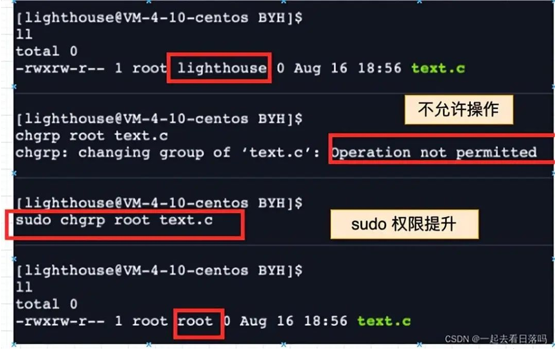 shell 运行原理和Linux权限详解