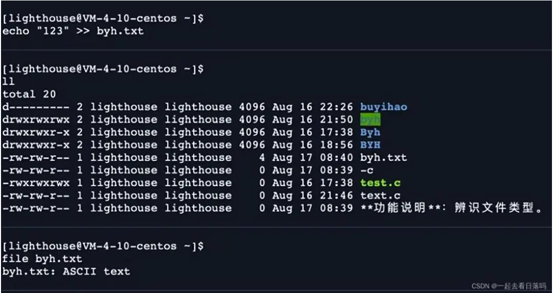 shell 運行原理和Linux權限詳解