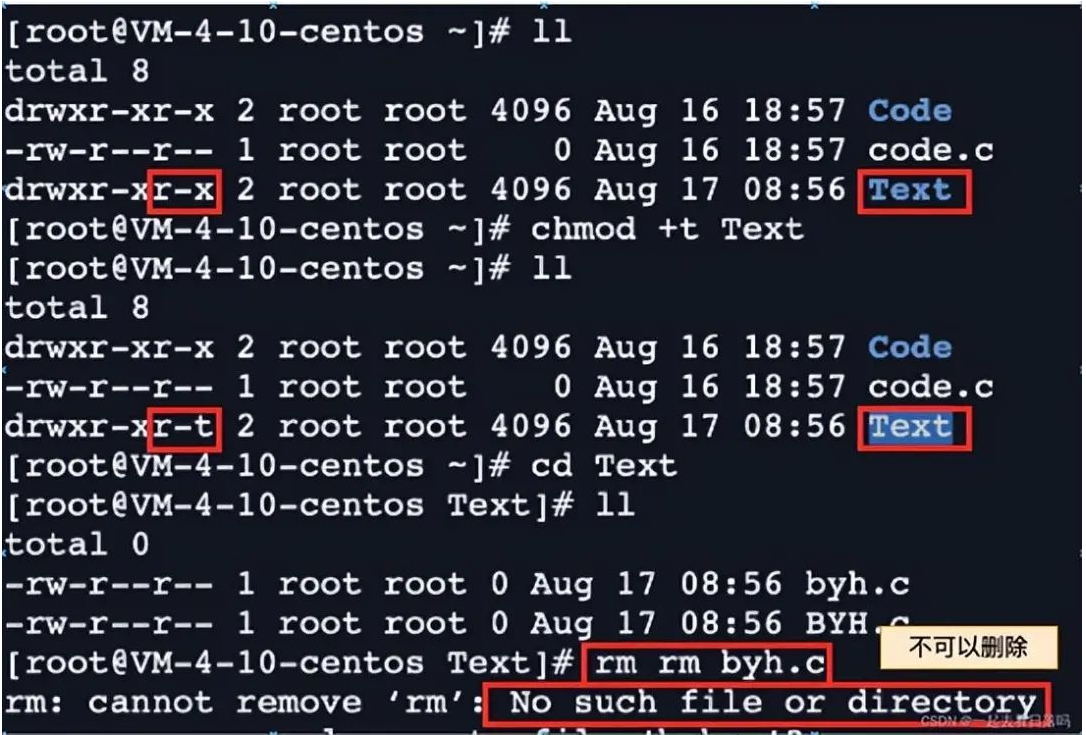 shell 运行原理和Linux权限详解