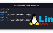 深入理解 Linux chmod 命令:u+x 和 +x 之间的区别