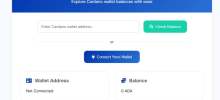 簡介。使用 JavaScript Web建立 Cardano 錢包檢查器。