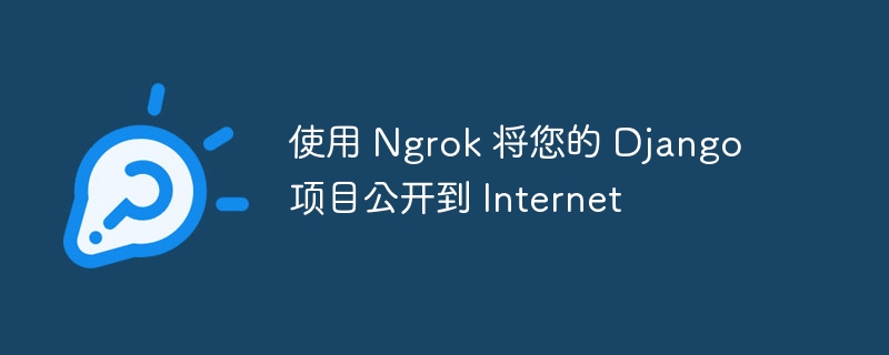 使用 ngrok 将您的 django 项目公开到 internet