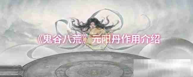 《鬼谷八荒》元阳丹作用介绍