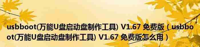 寻找USB启动盘制作工具(选择正确的工具来创建您的自定义启动盘)