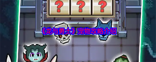 《龙与勇士》宠物攻略介绍