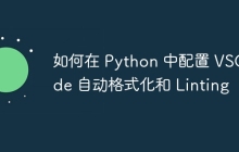 如何在 Python 中配置 VSCode 自动格式化和 Linting