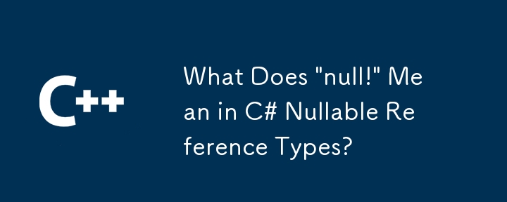 「ヌル！」とは何ですか？ C# の Null 許容参照型の意味?